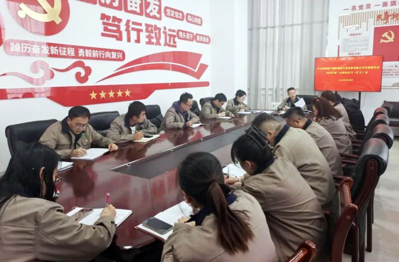 朝開公司黨支部召開2025年第一次理論學(xué)習（擴大）會